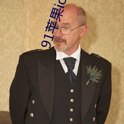 91苹果ios轻量版本