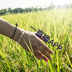 一直播APP （锦上添花）