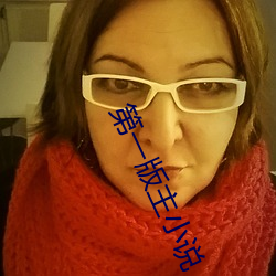 第(第)一版主(主)小说(說)