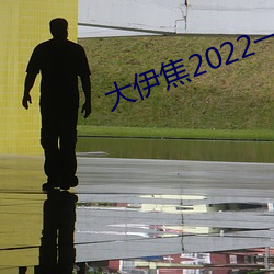 大伊焦2022一区三区 （横拖倒拽）