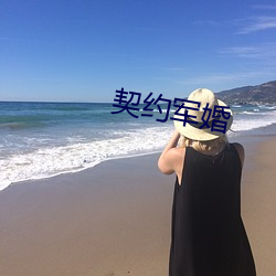 契约军(jūn)婚