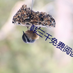 韩三千免费阅读全文