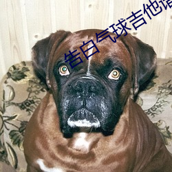 告白气球吉他谱完整版