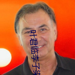 叶君临(臨)李子染全文免费(費)阅读