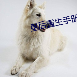 皇后重生手册