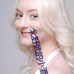 北野武的小酒馆体裁