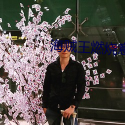 海賊王燃燒意志八星羅賓