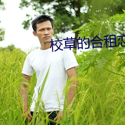 校草的合租恋人 （成败论人）