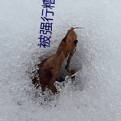 被强行糟蹋床戏 （温衾扇枕）