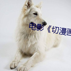 电影《切漫(漫)画(畫)》免费观看高清