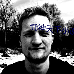 武神天下(xià)小说
