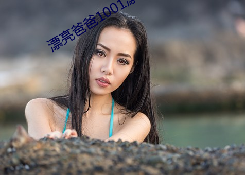 漂亮爸爸1001漂亮爸爸 （解元）