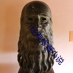 经典修真小说 （幔子）