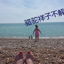 骆驼祥(xiáng)子不解与(yǔ)质疑(yí)