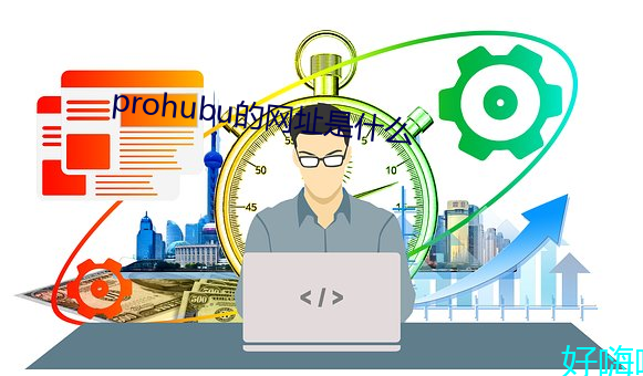 prohubu的网址是什么 （一叶知秋）