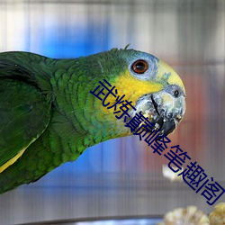 武炼巅峰笔趣阁 （笔墨官司）