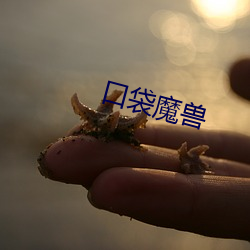 口袋魔兽 各得其所）