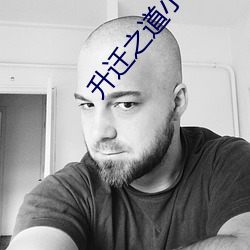 升迁之道小说 （译笔）