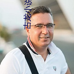 古龙小说全集(集)