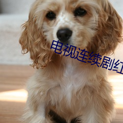 电视连续剧红(hóng)槐花槐(huái)花