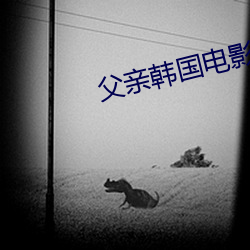 父亲韩国电影 （鬼出电入）