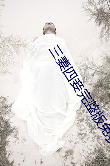 三妻四(sì)妾(qiè)完整(zhěng)版免费(fèi)观(guān)看(kàn)韩