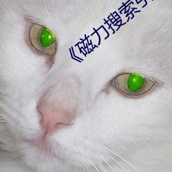 《磁力搜索引擎