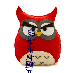 极品美女图片