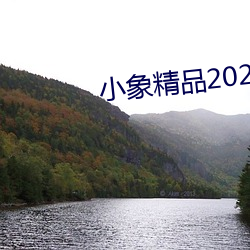 小象(xiàng)精品(pǐn)2021永久