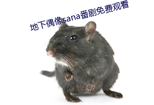 地下(下)偶(偶)像(像)sana番(番)剧免(免)费观看(看)