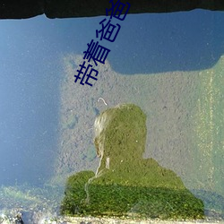 带着爸爸去留学免费看