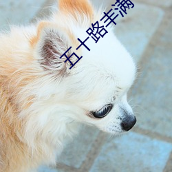 ezweb易利娱乐平台(唯一)官网登录入口
