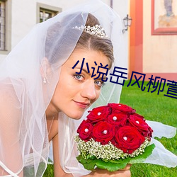 小說嶽風柳萱