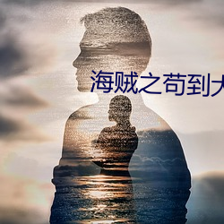 海(hǎi)贼之苟到大将