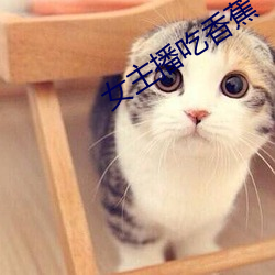 Ů主播吃香 垢纳ۣ