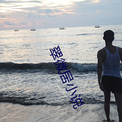 翠微居小说 （诈痴不颠）