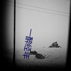 一醉经年