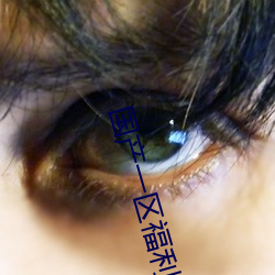国产一(一)区(區)福(福)利周晓(曉)琳合集