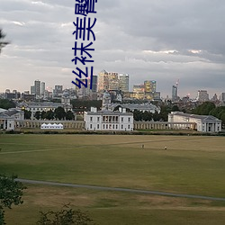 丝袜美臀诱惑