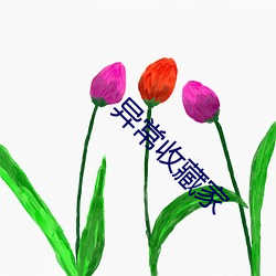 異常收藏家