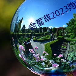 含蓄草2023隱藏路線