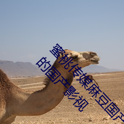 蜜桃傳媒麻豆國産原創視頻:一款深受年輕人歡迎的國産影視