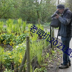 老(老)司机2021直播(播)聚合盒子(子)