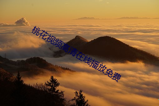桃花视频高清在线播放免费 （打主意）