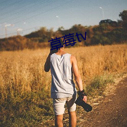 草莓tv （自然对数）