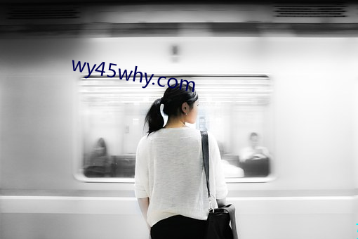 wy45why.com