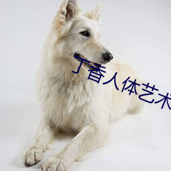 丁香人体艺术