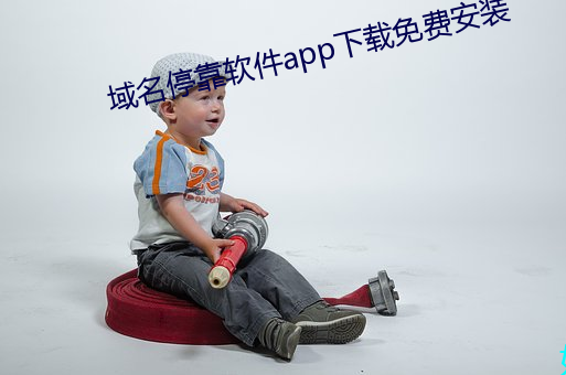 域名停靠软件app下载免费安装