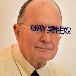 GAY男(nán)性奴