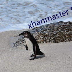 xhanmaster 55